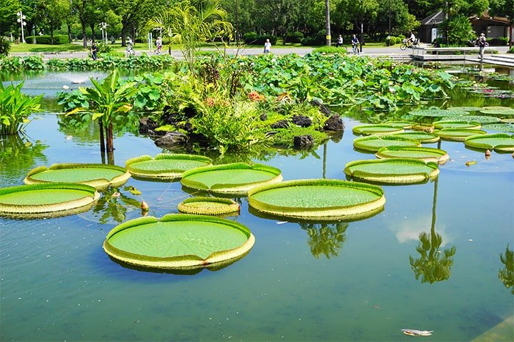 🌸 사쿠야 코노하나관 이미지 5